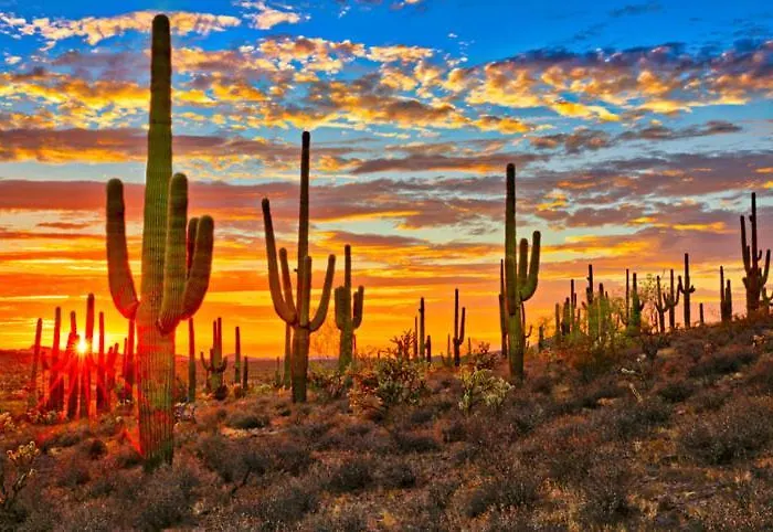 Holiday home Sonesta Tucson *